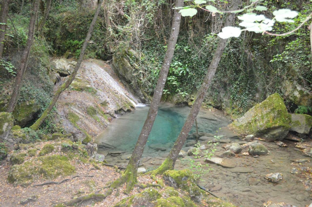 B&B Sul Cammino Oneglia Kültér fotó